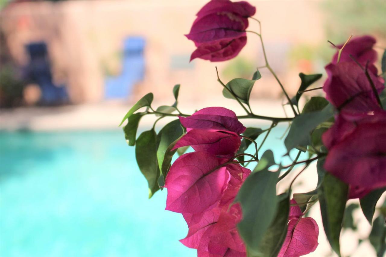 Adobe Rose Inn Tucson Eksteriør bilde