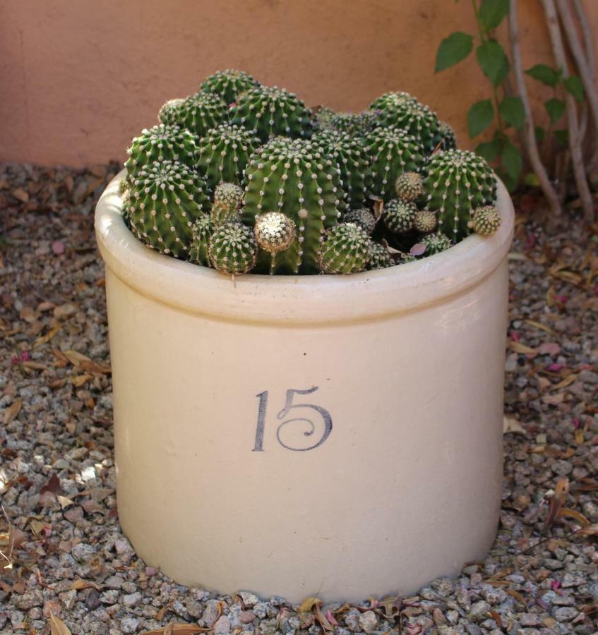 Adobe Rose Inn Tucson Eksteriør bilde